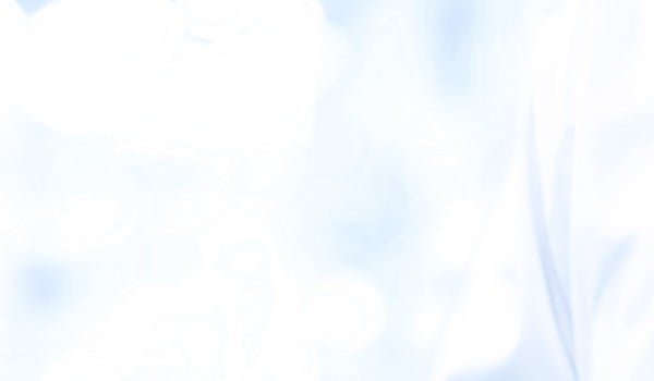 Curso de Nutrición en las Enfermedades Cardiovasculares