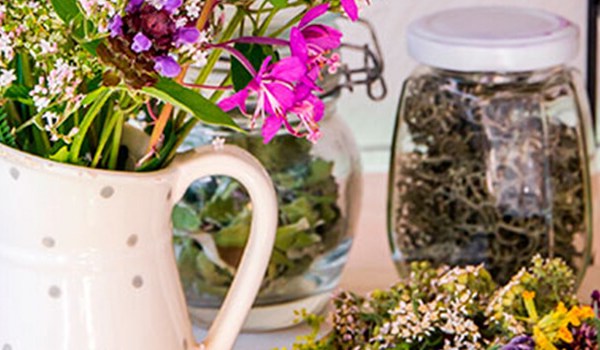 Curso de Plantas Medicinales. Propiedades Naturales y Científicas Prácticas