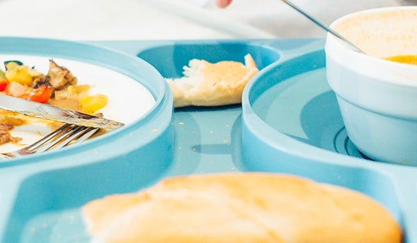 Curso de Inmunonutrición en el Tratamiento de la Enfermedad Grave