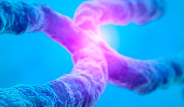 Curso de Pruebas de Screening Gestacional de Cromosomopatías