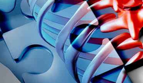 Curso de Intervención de terapia ocupacional en el paciente con lesión medular