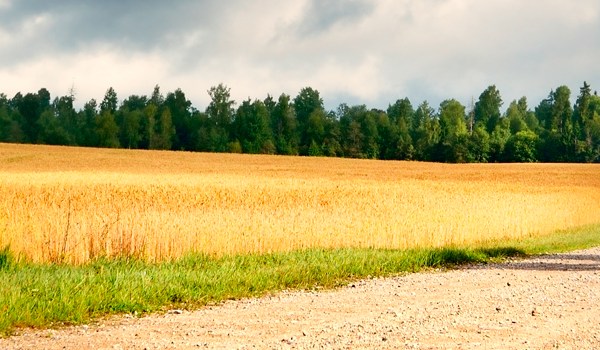 Curso de Empleabilidad en el Medio Rural