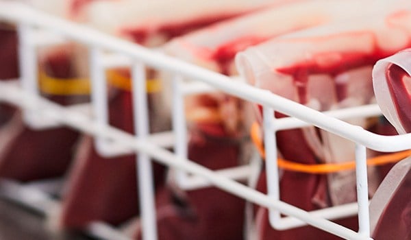 Curso Superior Universitario en Bancos de Sangre