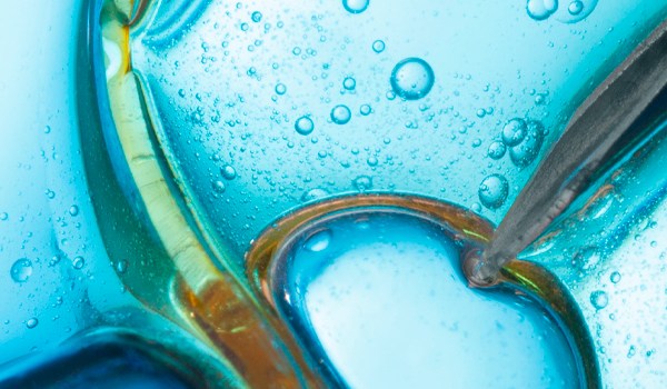 Curso Universitario en Actualización en Reproducción Humana Asistida