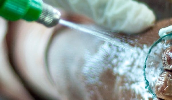Curso Superior Universitario en Conservación Transitoria y Embalsamamiento de Cadáveres con Productos Biocidas
