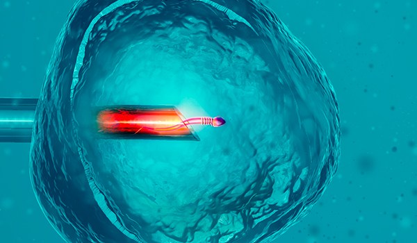 Máster de Formación Permanente en Genética Clínica y Técnicas Avanzadas en Embriología