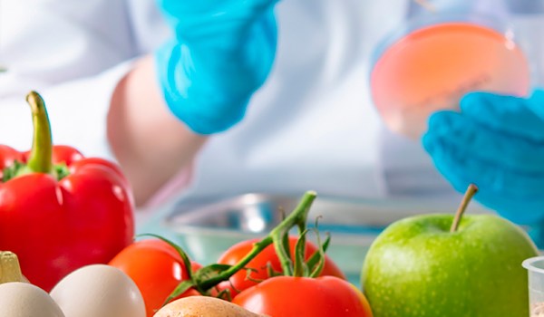 Máster de Formación Permanente en Nutrición y Seguridad Alimentaria