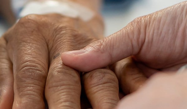 Curso Universitario en Cuidados Paliativos: Acompañamiento y Atención del Paciente Terminal