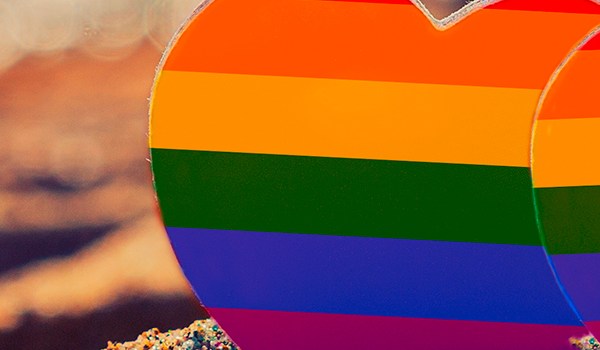 Curso Universitario en Adolescencia y Sexualidades Minoritarias