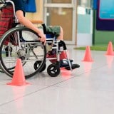 Experto Universitario en el Paciente con Discapacidad