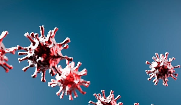 Curso Universitario en Inmunología Clínica: Bases y Aplicaciones en Salud