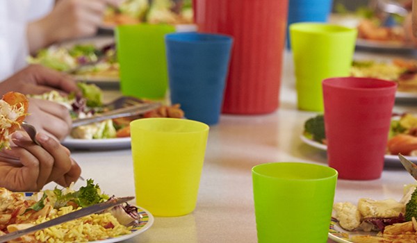 Curso Universitario en Promoción de la Alimentación Saludable en Escolares