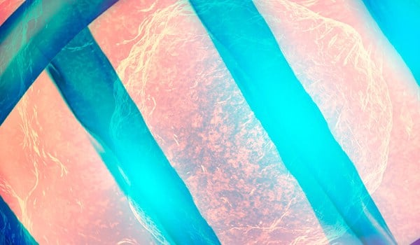 Curso Universitario en Estado Actual de la Fragmentación del ADN Espermático