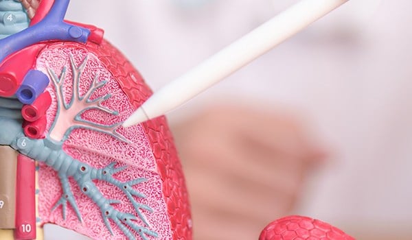 Curso Universitario en Abordaje Pediátrico de Patologías Respiratorias y Urgencias Críticas