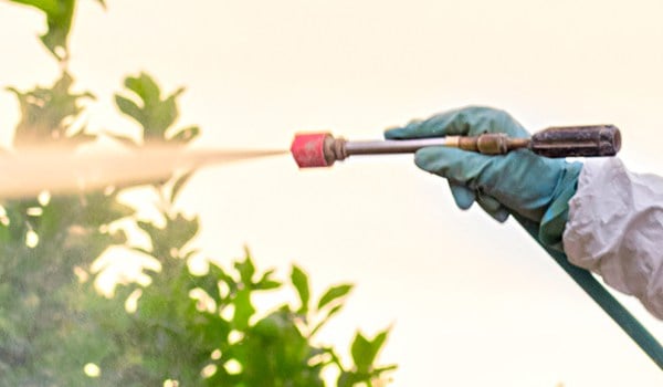 Curso de Aplicación de Productos Fitosanitarios. Nivel Cualificado