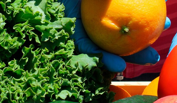 Curso de Manipulación Básica de Alimentos