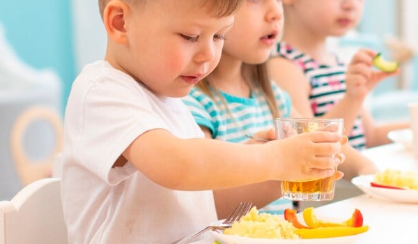 Curso de Nutrición Infantil Saludable