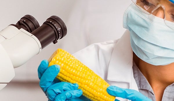 Curso de Seguridad Alimentaria y Nutricional