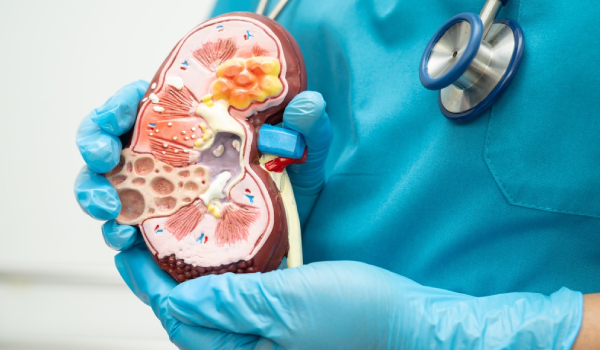 Curso de Atención y Cuidados en Nefrología y Alteraciones Renales