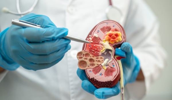 Curso de Puesta al Día en Nefrología