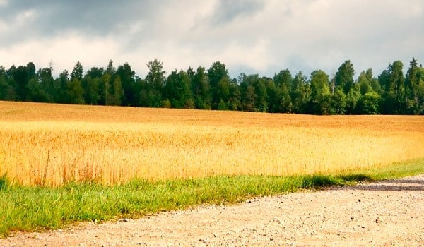 Curso de Empleabilidad en el Medio Rural