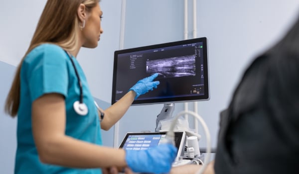 Curso Universitario en Ecografía en Urgencias y Cuidados Críticos