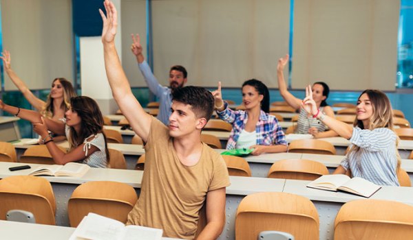 Curso Universitario en La inteligencia emocional en el aula
