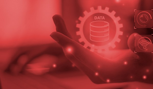 Curso Universitario en Creación de Empresas Virtuales. Bases de Datos y Formas Jurídicas