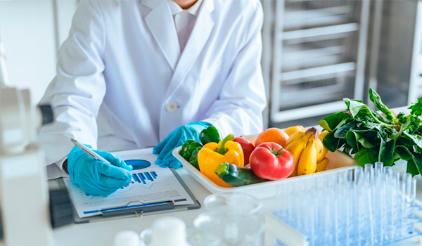 Curso de Seguridad Alimentaria