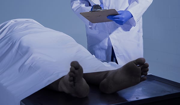 Curso Universitario en Necropsias y Macroscopía