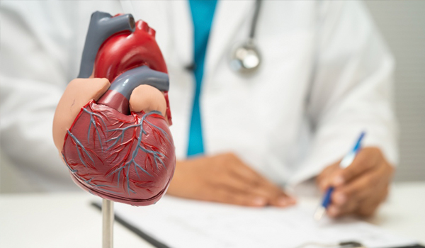 Curso Universitario Superior en Urgencias Cardiovasculares para Enfermería