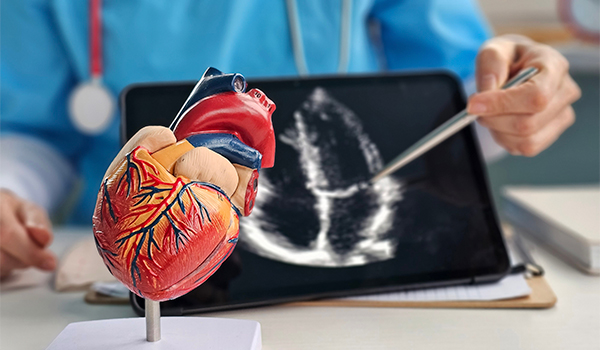 Curso Universitario en Riesgo Cardiovascular en Niños y Adolescentes a Través de Preguntas y Respuestas Razonadas