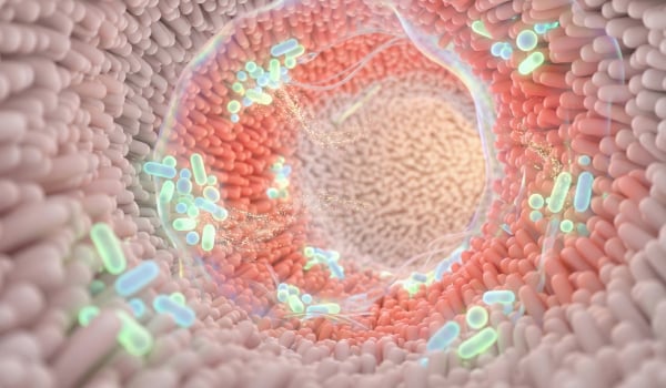 Curso Universitario en Papel del Microbioma en la Salud