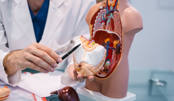 Curso Universitario en Comprendiendo la Enfermedad: Bases Fisiológicas