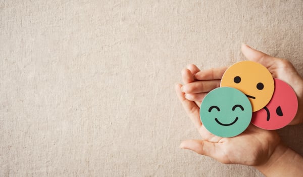 Curso Universitario en los Componentes de la Inteligencia Emocional