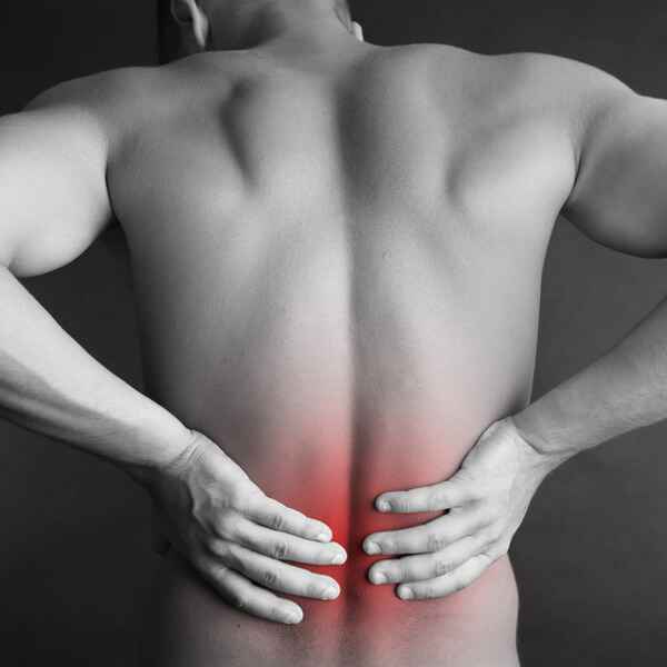 Dolor de espalda. Prevención, tratamiento y rehabilitación