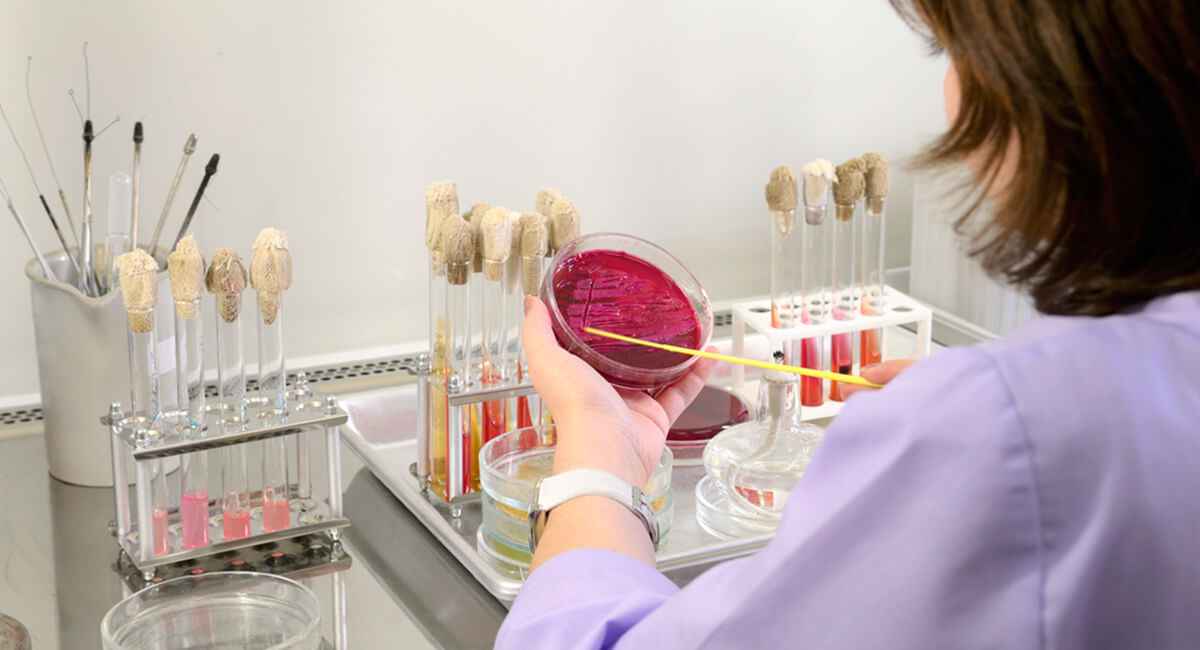 Actualización en la interpretación y recogida de muestras en enfermedades infecciosas