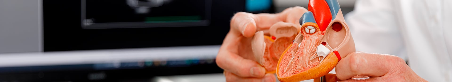 Curso Gratis de Prevención y Manejo de Enfermedades Cardiovasculares