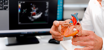 Curso Gratis de Prevención y Manejo de Enfermedades Cardiovasculares