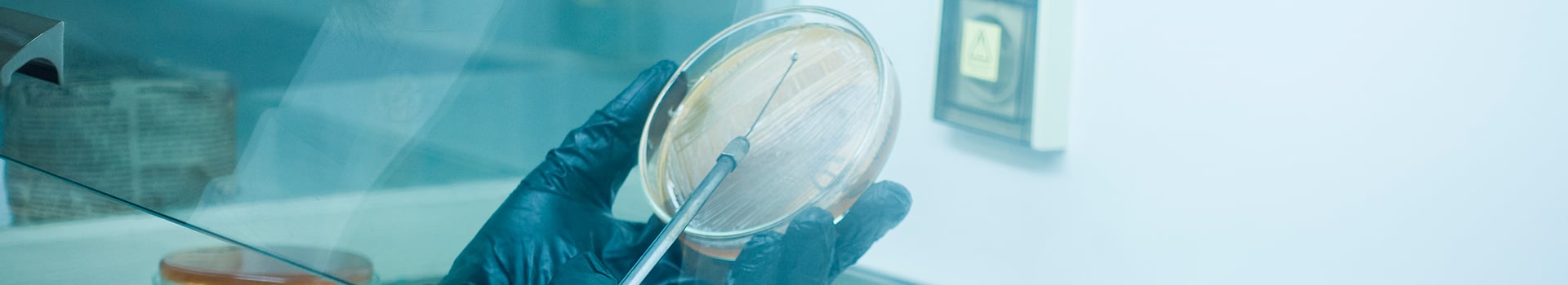 Curso Gratis de Microbiología Clínica: Fundamentos y Aplicaciones en Procesos Infecciosos