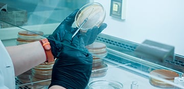 Curso Gratis de Microbiología Clínica: Fundamentos y Aplicaciones en Procesos Infecciosos