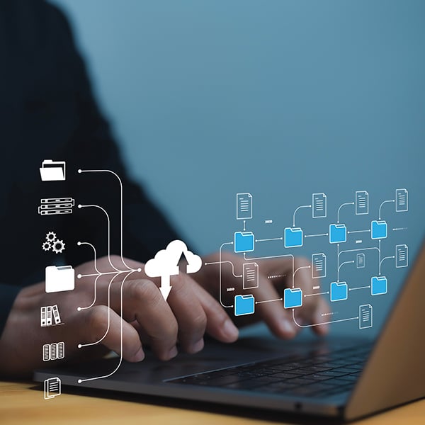 Empleabilidad Empleabilidad