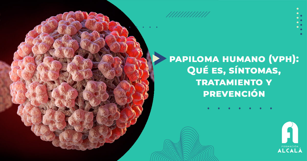 Imagen de Papiloma Humano (VPH): Qué es, síntomas, tratamiento y prevención