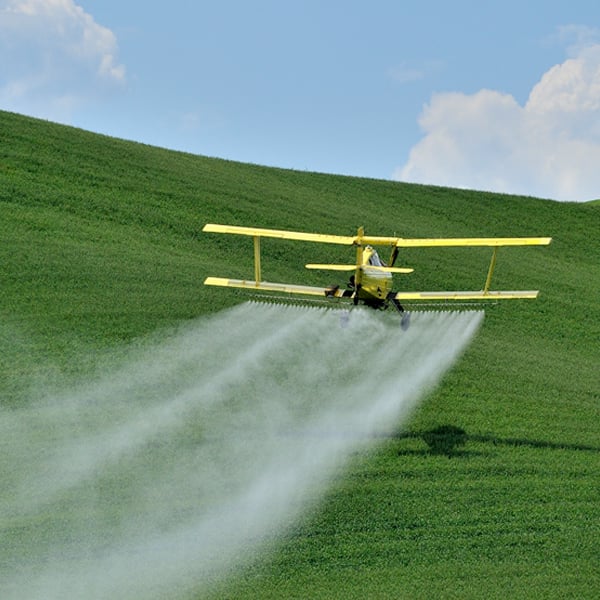 Empleabilidad Empleabilidad