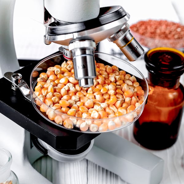 Empleabilidad Empleabilidad