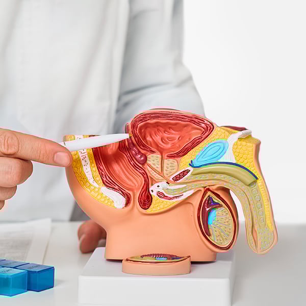 Empleabilidad Empleabilidad