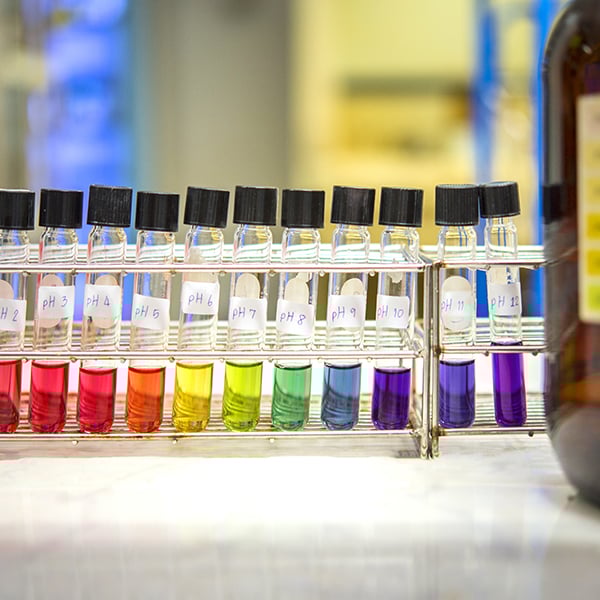 Empleabilidad Empleabilidad