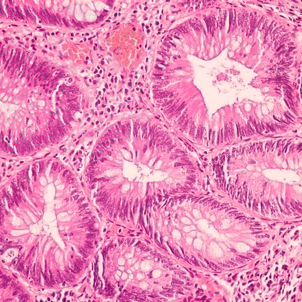 Empleabilidad Empleabilidad