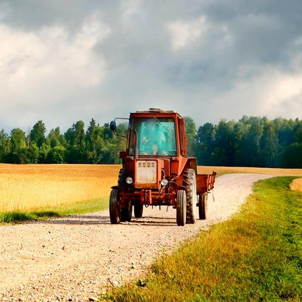 Empleabilidad Empleabilidad