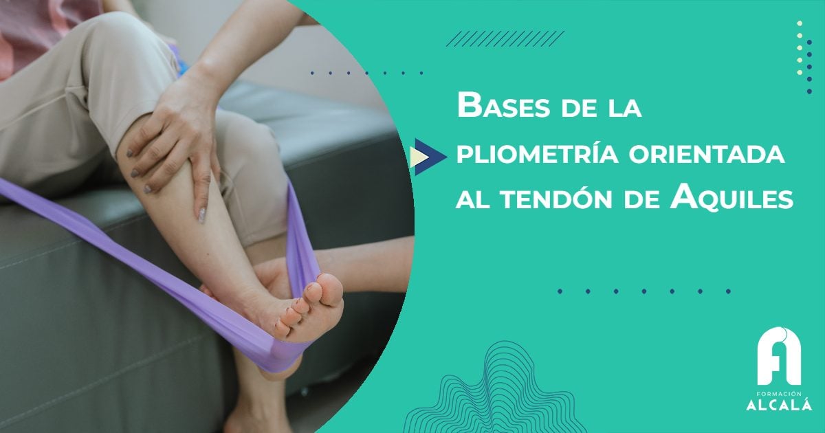 Imagen de Bases de la pliometría orientada al tendón de Aquiles